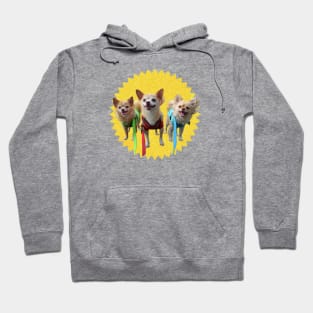 BarkPink Cheer Hoodie